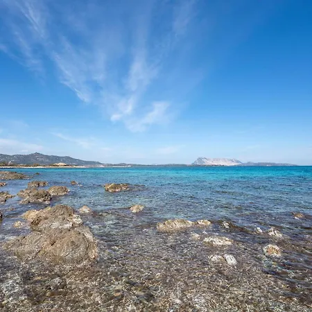 Beautiful Home In Olbia With 3 Bedrooms * Olbia