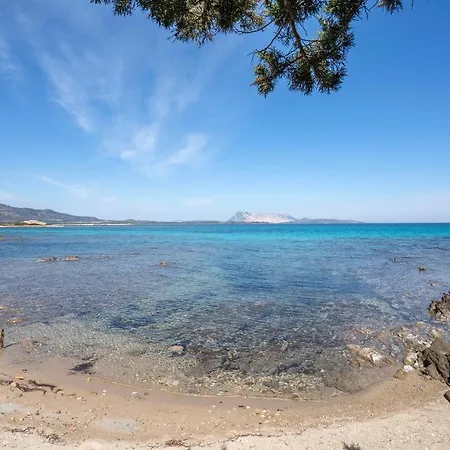 Beautiful Home In Olbia With 3 Bedrooms Nyaraló *